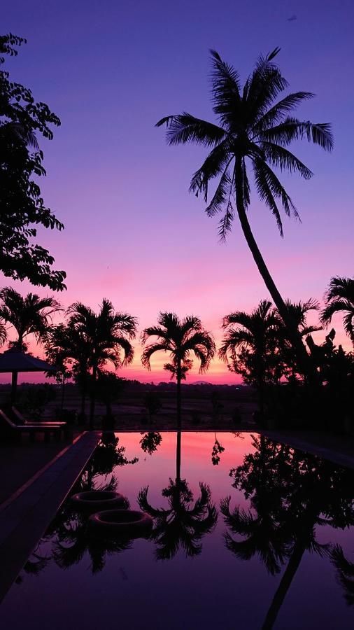 Hoi An Four Seasons Villa Exterior photo